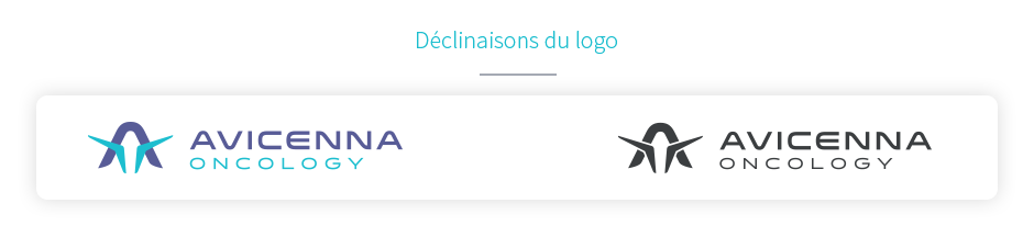 déclinaison logo