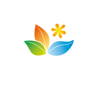 Création de l'interface graphique du site Just France. - Just France