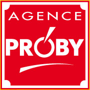 Création de l'interface graphique du site mobile de l'agence Proby. - Proby Transaction